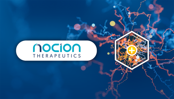 Julie Grant: Announcing Nocion Therapeutics, a novel approach to neurogenic inflammation